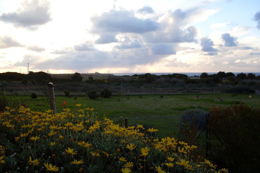 Cozy Country House Near Beaches Azoia  Esterno foto